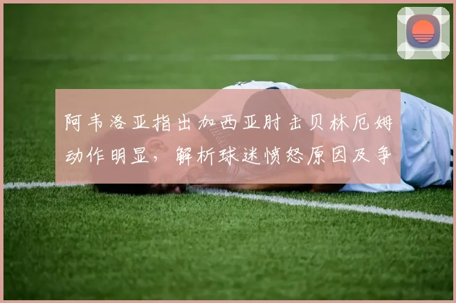 阿韦洛亚指出加西亚肘击贝林厄姆动作明显,解析球迷愤怒原因及争议判罚尺度